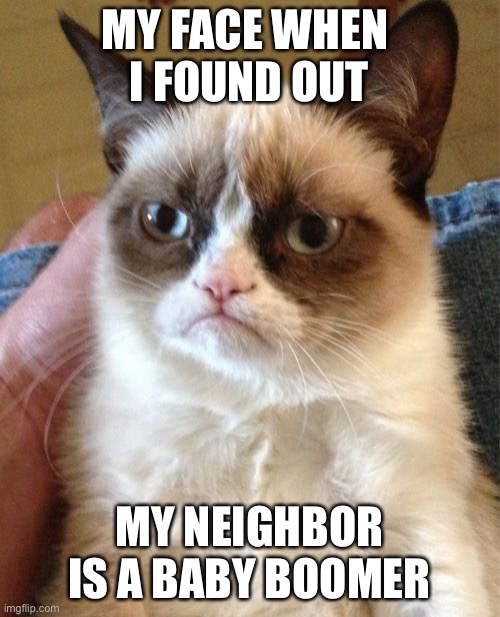 Grumpy Cat | MY FACE WHEN 
I FOUND OUT; MY NEIGHBOR IS A BABY BOOMER | image tagged in memes,grumpy cat | made w/ Imgflip meme maker