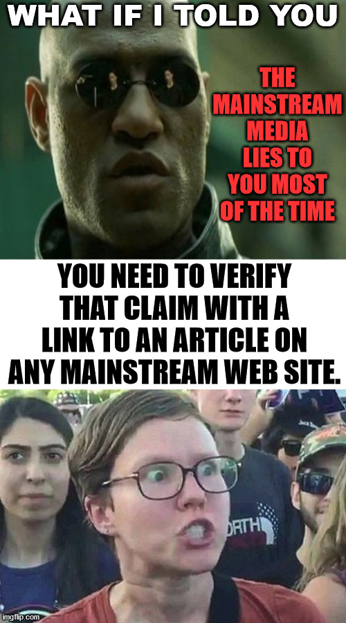 How progressives respond on imgflip and other meme sites. | WHAT IF I TOLD YOU; THE MAINSTREAM MEDIA LIES TO YOU MOST OF THE TIME; YOU NEED TO VERIFY THAT CLAIM WITH A LINK TO AN ARTICLE ON ANY MAINSTREAM WEB SITE. | image tagged in triggered liberal,what if i told you,media lies,progressives | made w/ Imgflip meme maker
