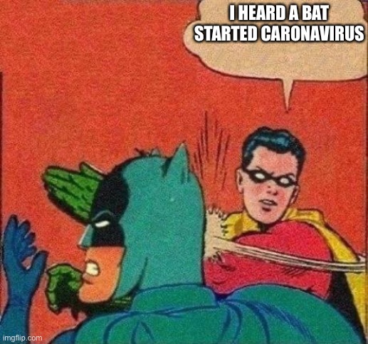 Robin Slaps Batman | I HEARD A BAT STARTED CARONAVIRUS | image tagged in robin slaps batman | made w/ Imgflip meme maker