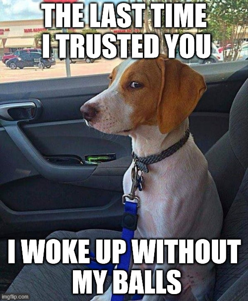 Trust issues | ...... | image tagged in trust issues | made w/ Imgflip meme maker