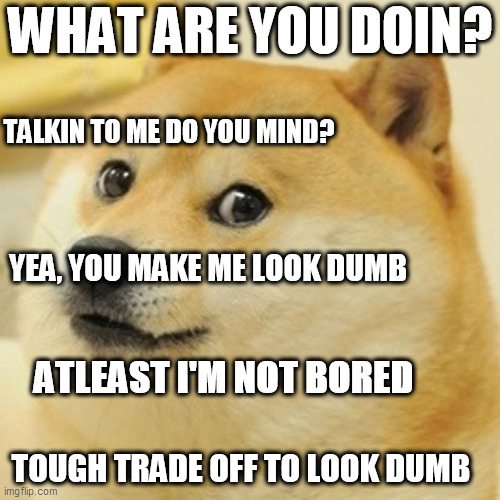 questions,  questions | WHAT ARE YOU DOIN? TALKIN TO ME DO YOU MIND? YEA, YOU MAKE ME LOOK DUMB; ATLEAST I'M NOT BORED; TOUGH TRADE OFF TO LOOK DUMB | image tagged in memes,doge,what  dog  who you talkin to,dog  inquisitive | made w/ Imgflip meme maker