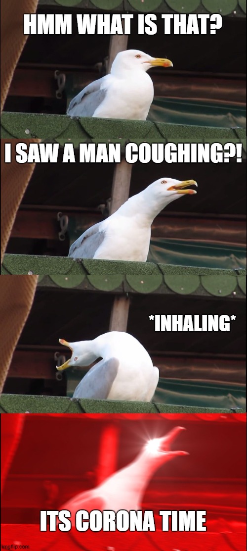 Inhaling Seagull | HMM WHAT IS THAT? I SAW A MAN COUGHING?! *INHALING*; ITS CORONA TIME | image tagged in memes,inhaling seagull | made w/ Imgflip meme maker