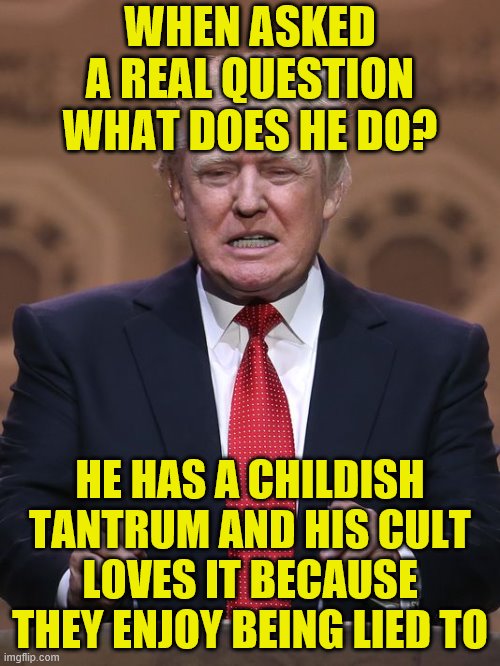 Donald Trump | WHEN ASKED A REAL QUESTION WHAT DOES HE DO? HE HAS A CHILDISH TANTRUM AND HIS CULT LOVES IT BECAUSE THEY ENJOY BEING LIED TO | image tagged in donald trump | made w/ Imgflip meme maker