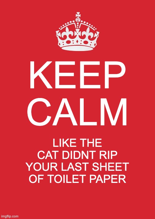 destructive cat | KEEP CALM; LIKE THE CAT DIDNT RIP YOUR LAST SHEET OF TOILET PAPER | image tagged in memes,keep calm and carry on red | made w/ Imgflip meme maker