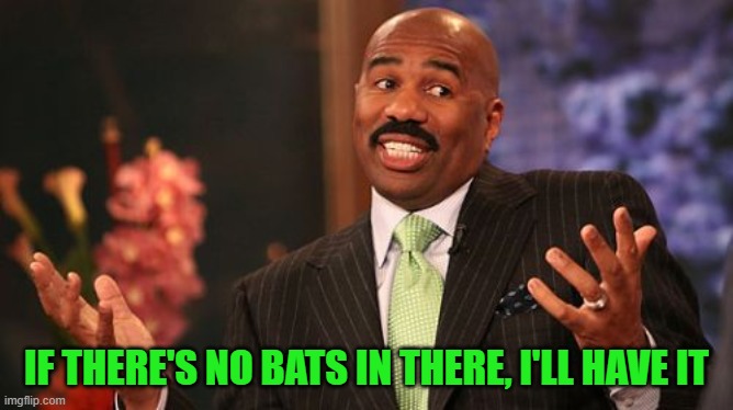 Steve Harvey Meme | IF THERE'S NO BATS IN THERE, I'LL HAVE IT | image tagged in memes,steve harvey | made w/ Imgflip meme maker