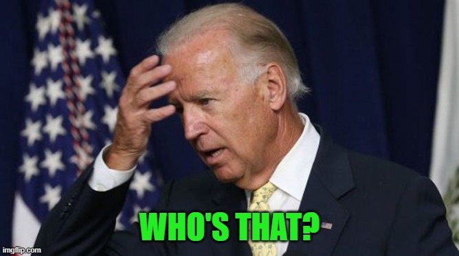 Joe Biden worries | WHO'S THAT? | image tagged in joe biden worries | made w/ Imgflip meme maker