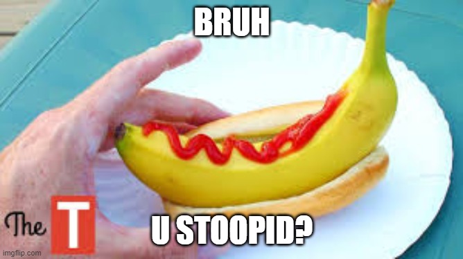 wow! | BRUH; U STOOPID? | image tagged in oof,lol,stupid | made w/ Imgflip meme maker