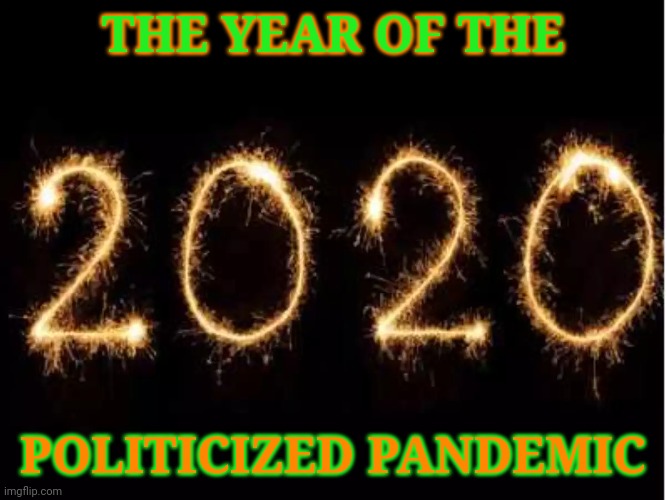 2020 | THE YEAR OF THE; POLITICIZED PANDEMIC | image tagged in new years | made w/ Imgflip meme maker
