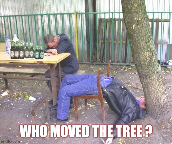 Drunk russian | WHO MOVED THE TREE ? | image tagged in drunk russian,tree,alcohol | made w/ Imgflip meme maker