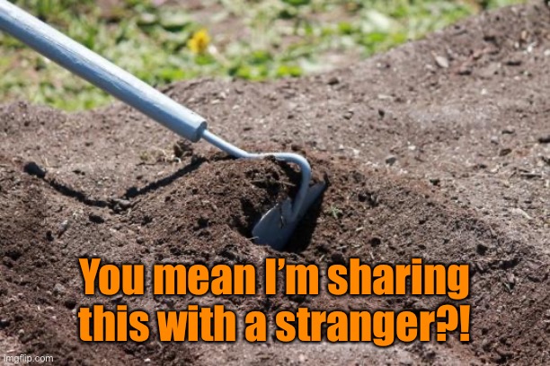 garden hoe | You mean I’m sharing this with a stranger?! | image tagged in garden hoe | made w/ Imgflip meme maker