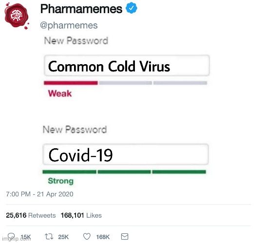 Corona Virus | image tagged in password strength,password,coronavirus,memes,funny memes,meme | made w/ Imgflip meme maker
