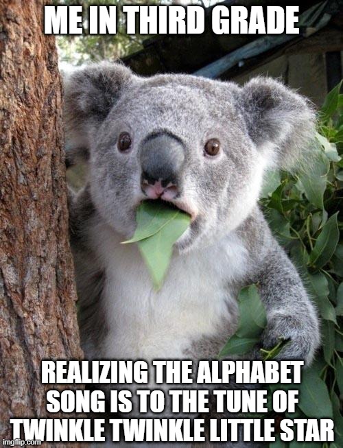 Suprised Koala | ME IN THIRD GRADE; REALIZING THE ALPHABET SONG IS TO THE TUNE OF TWINKLE TWINKLE LITTLE STAR | image tagged in suprised koala | made w/ Imgflip meme maker