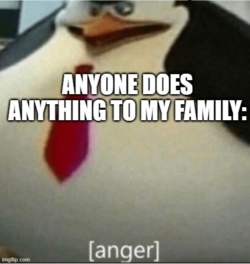 [anger] | ANYONE DOES ANYTHING TO MY FAMILY: | image tagged in anger | made w/ Imgflip meme maker