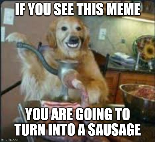 MEAT DOG | IF YOU SEE THIS MEME; YOU ARE GOING TO TURN INTO A SAUSAGE | image tagged in meat dog | made w/ Imgflip meme maker