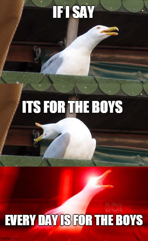 Inhaling seagull | IF I SAY; ITS FOR THE BOYS; EVERY DAY IS FOR THE BOYS | image tagged in inhaling seagull | made w/ Imgflip meme maker