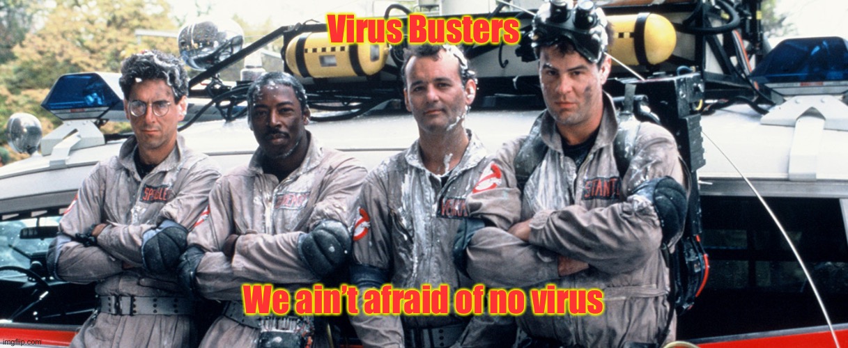 ghost busters | Virus Busters We ain’t afraid of no virus | image tagged in ghost busters | made w/ Imgflip meme maker