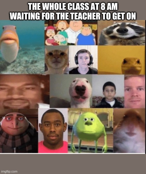 THE WHOLE CLASS AT 8 AM WAITING FOR THE TEACHER TO GET ON | image tagged in imgflip | made w/ Imgflip meme maker