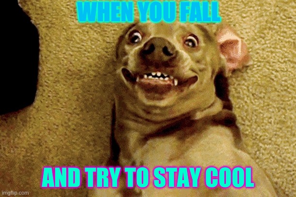 WHEN YOU FALL; AND TRY TO STAY COOL | image tagged in lol | made w/ Imgflip meme maker