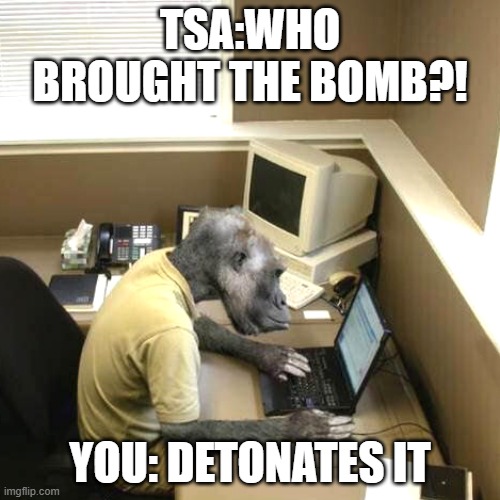 Monkey Business Meme | TSA:WHO BROUGHT THE BOMB?! YOU: DETONATES IT | image tagged in memes,monkey business | made w/ Imgflip meme maker