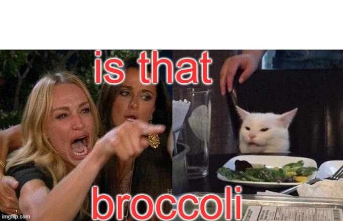 Woman Yelling At Cat Meme | is that; broccoli | image tagged in memes,woman yelling at cat | made w/ Imgflip meme maker