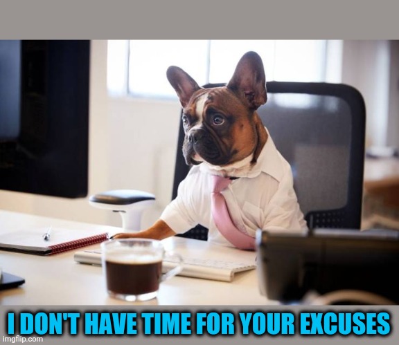 Boss dog | I DON'T HAVE TIME FOR YOUR EXCUSES | image tagged in doggo | made w/ Imgflip meme maker