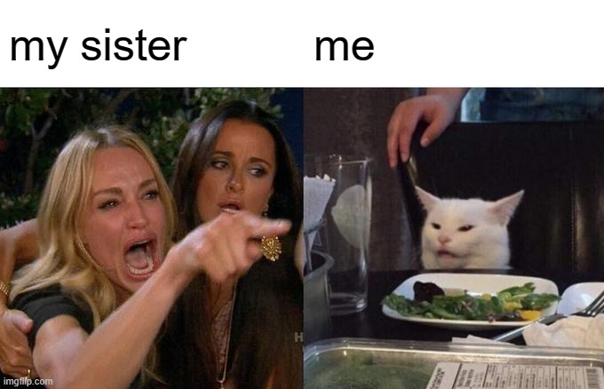 Woman Yelling At Cat | my sister; me | image tagged in memes,woman yelling at cat | made w/ Imgflip meme maker