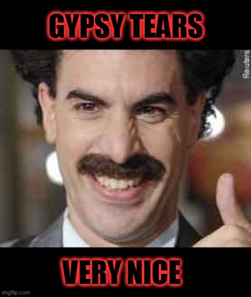 Borat | GYPSY TEARS; VERY NICE | image tagged in borat | made w/ Imgflip meme maker