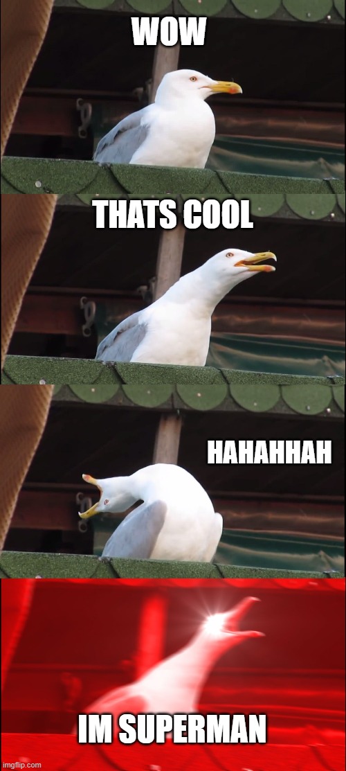 Inhaling Seagull Meme | WOW; THATS COOL; HAHAHHAH; IM SUPERMAN | image tagged in memes,inhaling seagull | made w/ Imgflip meme maker