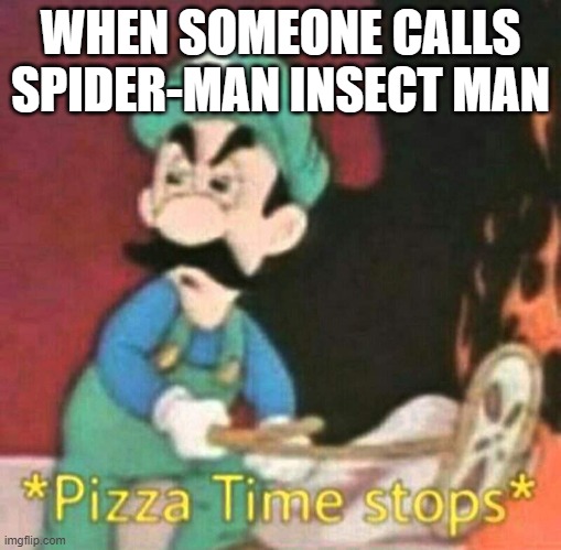 Pizza time stops | WHEN SOMEONE CALLS SPIDER-MAN INSECT MAN | image tagged in pizza time stops | made w/ Imgflip meme maker