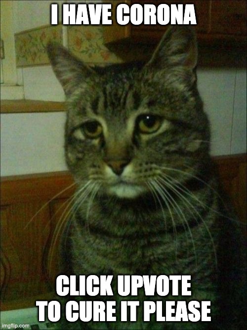 Depressed Cat Meme | I HAVE CORONA; CLICK UPVOTE TO CURE IT PLEASE | image tagged in memes,depressed cat | made w/ Imgflip meme maker