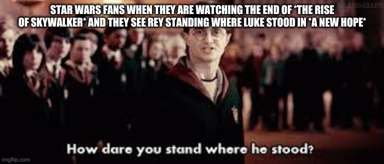 How dare you stand where he stood | STAR WARS FANS WHEN THEY ARE WATCHING THE END OF *THE RISE OF SKYWALKER* AND THEY SEE REY STANDING WHERE LUKE STOOD IN *A NEW HOPE* | image tagged in how dare you stand where he stood | made w/ Imgflip meme maker