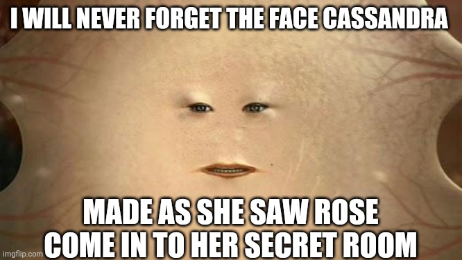 Lady Cassandra | I WILL NEVER FORGET THE FACE CASSANDRA; MADE AS SHE SAW ROSE COME IN TO HER SECRET ROOM | image tagged in cassandra doctor who | made w/ Imgflip meme maker