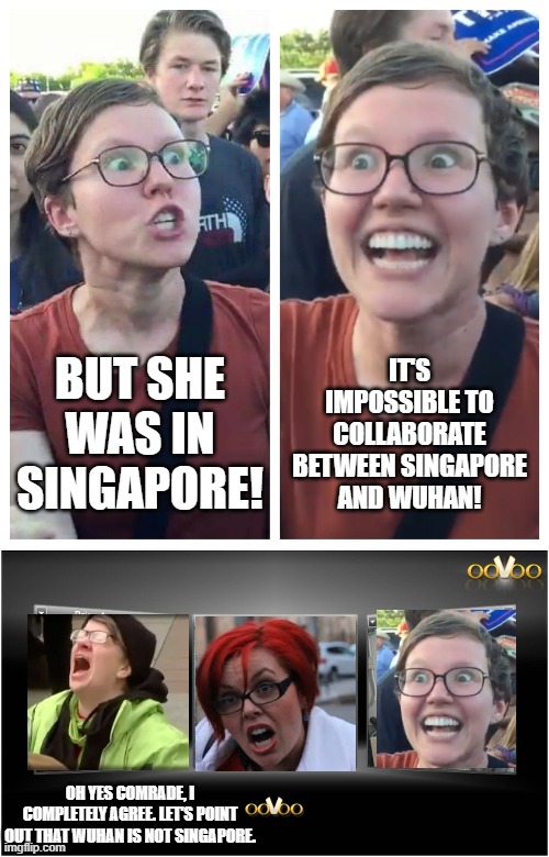 BUT SHE WAS IN SINGAPORE! IT'S IMPOSSIBLE TO COLLABORATE BETWEEN SINGAPORE AND WUHAN! OH YES COMRADE, I COMPLETELY AGREE. LET'S POINT OUT TH | image tagged in triggered hypocrite feminist,video chat | made w/ Imgflip meme maker