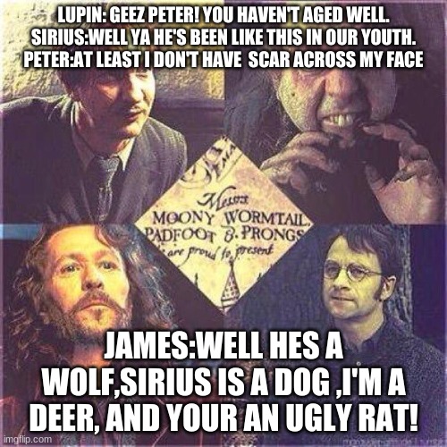 LUPIN: GEEZ PETER! YOU HAVEN'T AGED WELL.
SIRIUS:WELL YA HE'S BEEN LIKE THIS IN OUR YOUTH.
PETER:AT LEAST I DON'T HAVE  SCAR ACROSS MY FACE; JAMES:WELL HES A WOLF,SIRIUS IS A DOG ,I'M A DEER, AND YOUR AN UGLY RAT! | image tagged in harry potter meme | made w/ Imgflip meme maker