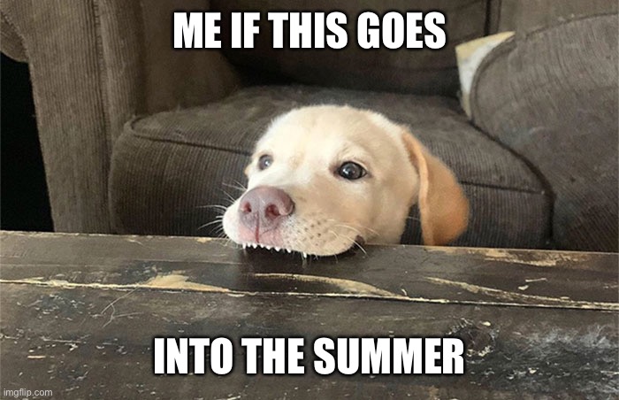 ME IF THIS GOES; INTO THE SUMMER | image tagged in coronavirus | made w/ Imgflip meme maker