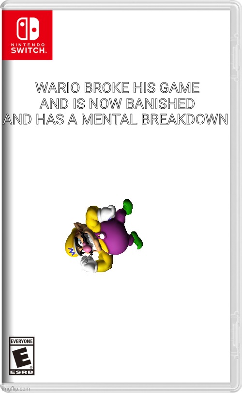 Nintendo Switch | WARIO BROKE HIS GAME AND IS NOW BANISHED AND HAS A MENTAL BREAKDOWN | image tagged in nintendo switch | made w/ Imgflip meme maker