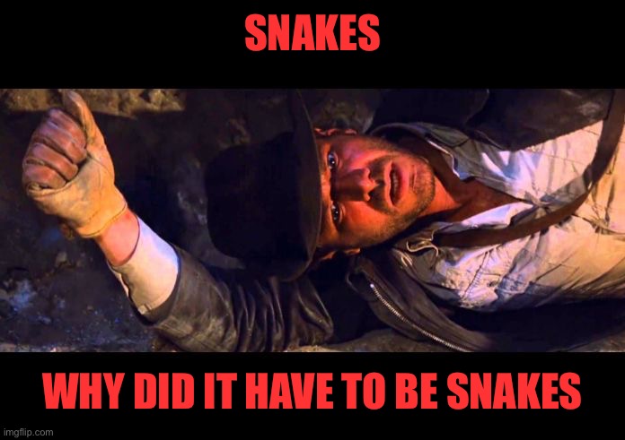 Indiana Jones Why'd It Have to be Snakes | SNAKES WHY DID IT HAVE TO BE SNAKES | image tagged in indiana jones why'd it have to be snakes | made w/ Imgflip meme maker