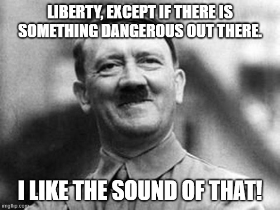 adolf hitler | LIBERTY, EXCEPT IF THERE IS SOMETHING DANGEROUS OUT THERE. I LIKE THE SOUND OF THAT! | image tagged in adolf hitler | made w/ Imgflip meme maker