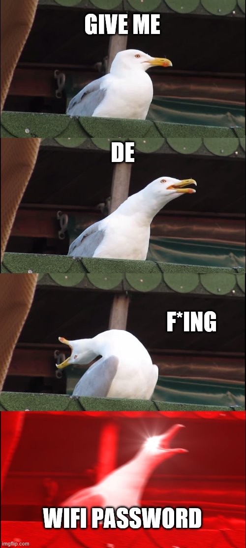Inhaling Seagull | GIVE ME; DE; F*ING; WIFI PASSWORD | image tagged in memes,inhaling seagull | made w/ Imgflip meme maker