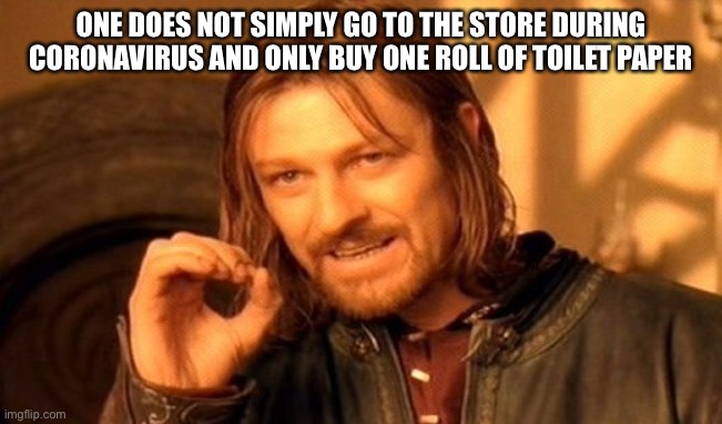 Hey look! It’s one of my first memes back when Covid was around! | ONE DOES NOT SIMPLY GO TO THE STORE DURING CORONAVIRUS AND ONLY BUY ONE ROLL OF TOILET PAPER | image tagged in memes,one does not simply | made w/ Imgflip meme maker