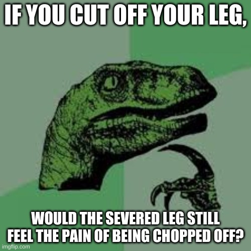 philociraptor | IF YOU CUT OFF YOUR LEG, WOULD THE SEVERED LEG STILL FEEL THE PAIN OF BEING CHOPPED OFF? | image tagged in philociraptor | made w/ Imgflip meme maker