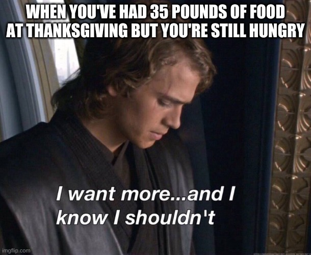 I want more and I know I shouldn't | WHEN YOU'VE HAD 35 POUNDS OF FOOD AT THANKSGIVING BUT YOU'RE STILL HUNGRY | image tagged in i want more and i know i shouldn't,thanksgiving | made w/ Imgflip meme maker