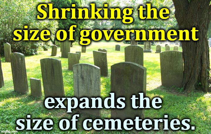 One lesson of the coronavirus. | Shrinking the 
size of government; expands the 
size of cemeteries. | image tagged in cemetery,coronavirus,covid-19,government | made w/ Imgflip meme maker