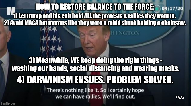 trump rallies are a GREAT idea! go to ALL of them! | HOW TO RESTORE BALANCE TO THE FORCE:; 1) Let trump and his cult hold ALL the protests & rallies they want to.    
2) Avoid MAGA hat morons like they were a rabid skunk holding a chainsaw. 3) Meanwhile, WE keep doing the right things -
washing our hands, social distancing and wearing masks. 4) DARWINISM ENSUES. PROBLEM SOLVED. NLG | image tagged in politics,political meme,political | made w/ Imgflip meme maker