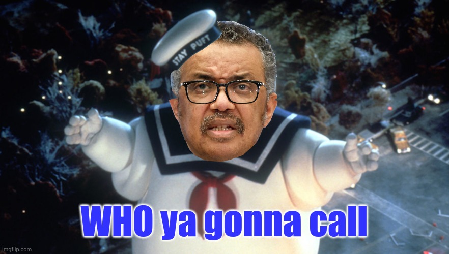 WHO ya gonna call | made w/ Imgflip meme maker