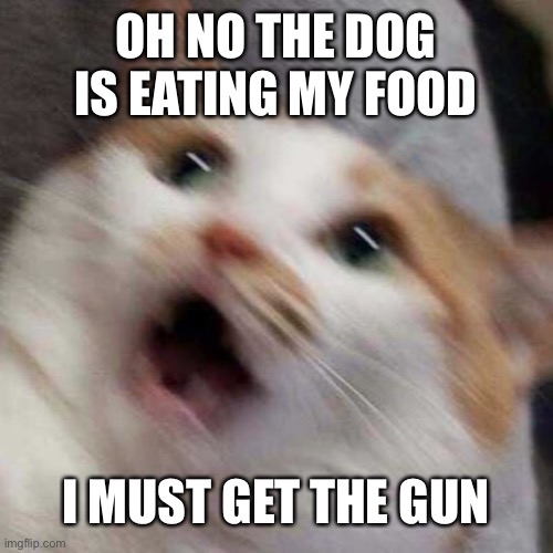Oh no Cat | OH NO THE DOG IS EATING MY FOOD; I MUST GET THE GUN | image tagged in oh no cat | made w/ Imgflip meme maker