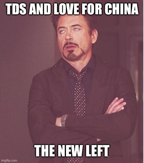 Face You Make Robert Downey Jr Meme | TDS AND LOVE FOR CHINA THE NEW LEFT | image tagged in memes,face you make robert downey jr | made w/ Imgflip meme maker