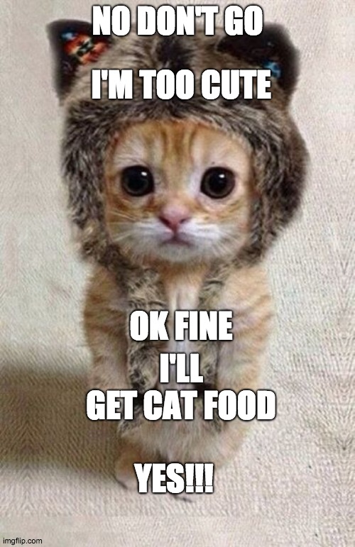 Thank You | NO DON'T GO; I'M TOO CUTE; OK FINE; I'LL GET CAT FOOD; YES!!! | image tagged in thank you | made w/ Imgflip meme maker