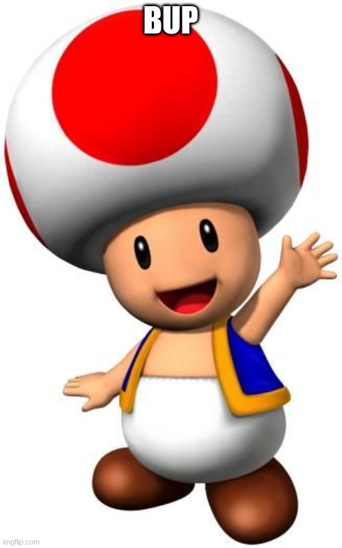 Toad | BUP | image tagged in toad | made w/ Imgflip meme maker