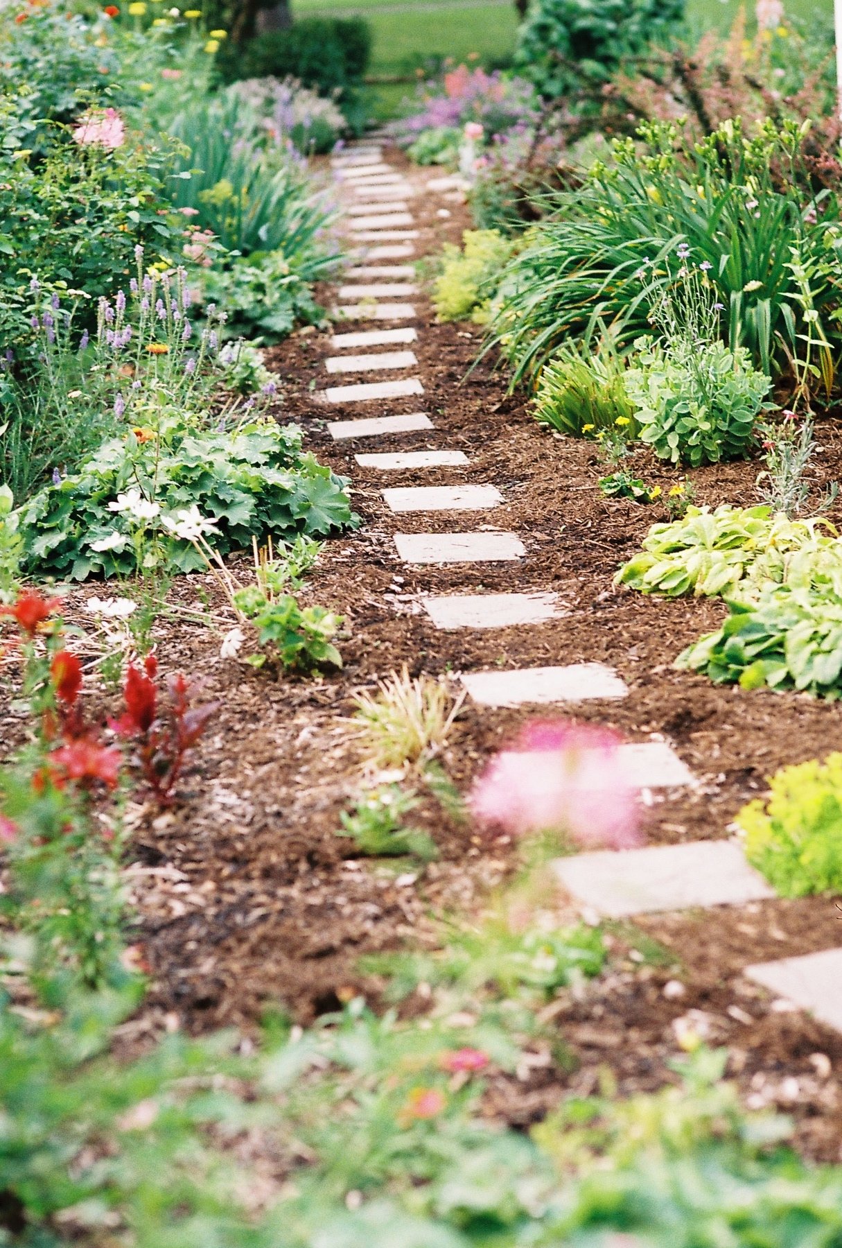 garden walk Blank Meme Template